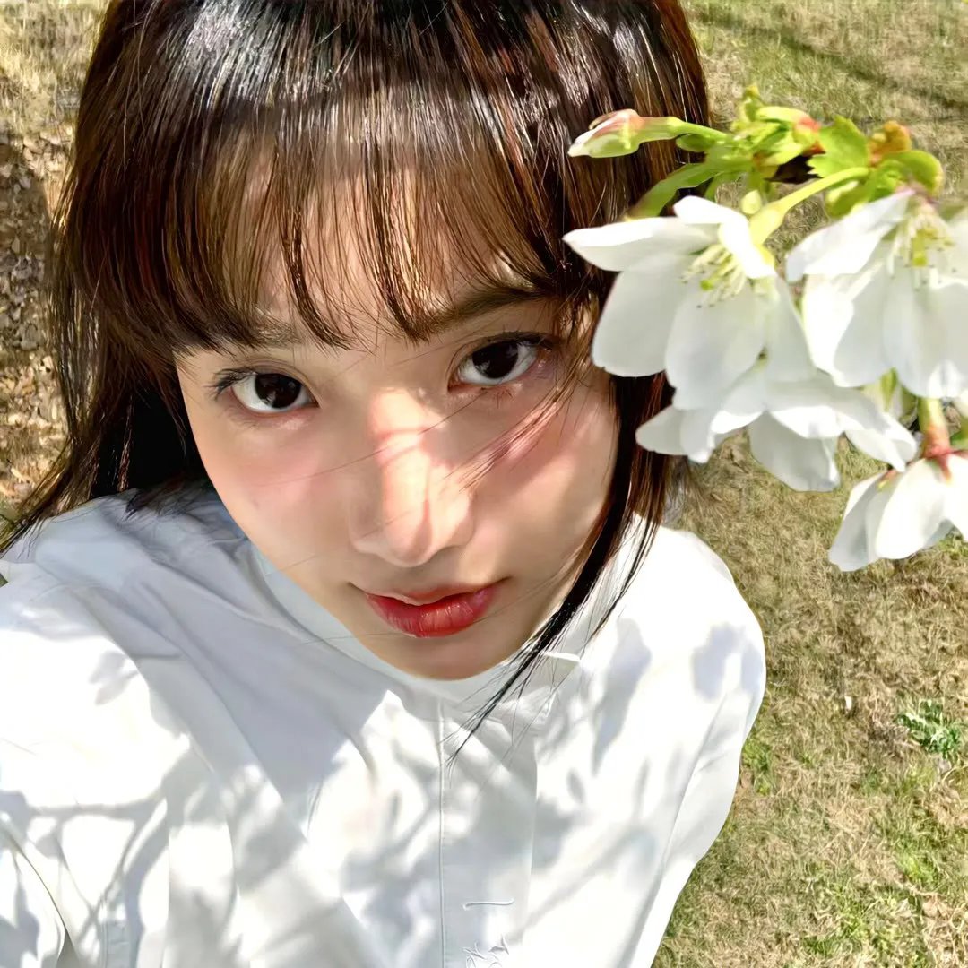 栀子花落状元红